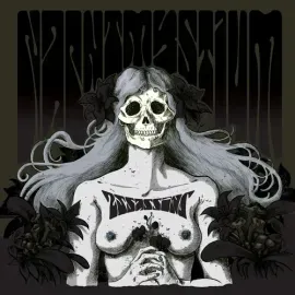 Виниловая пластинка Nachtmystium - Assassins - Black Meddle Pt. I [New Vinyl LP] Black, 180 Gram