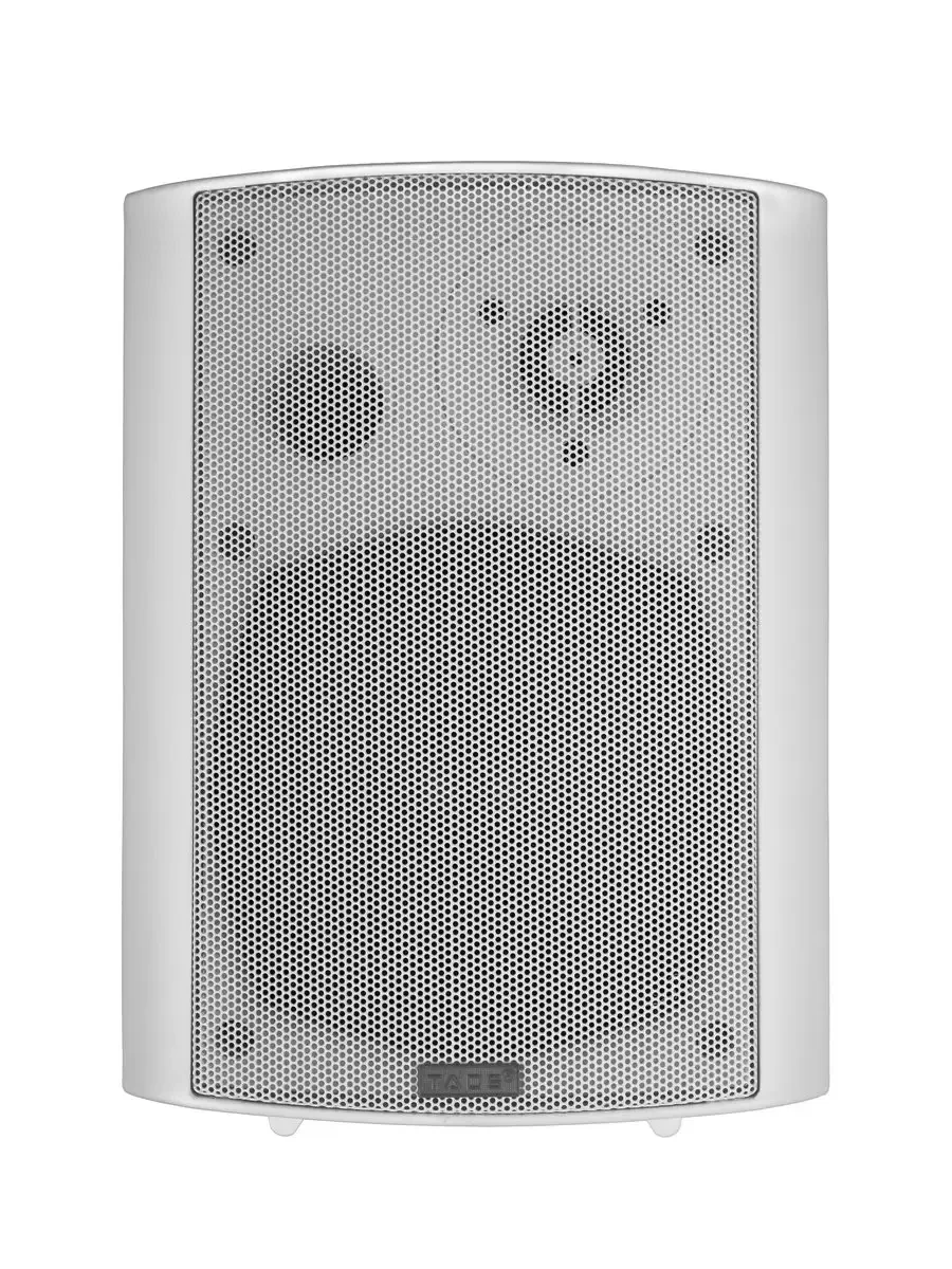 Громкоговоритель настенный TADS DS-502-WHITE 20Вт