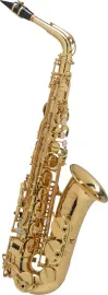 Саксофон Conn-Selmer AAXLSET Axos Alto Eb Gold Lacquer