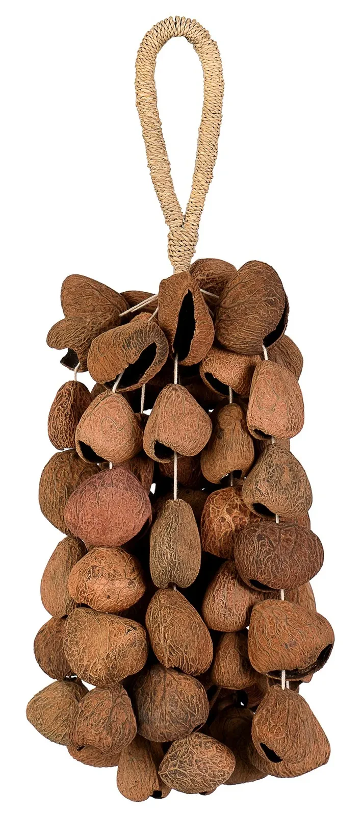 SELA SESDS7 Seed Shaker 6-row Pangi Klangeffekt