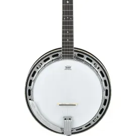 Ibanez BA250 US 250th Anniv LE Resonator Banjo, Purpleheart Fingerboard, USA 250