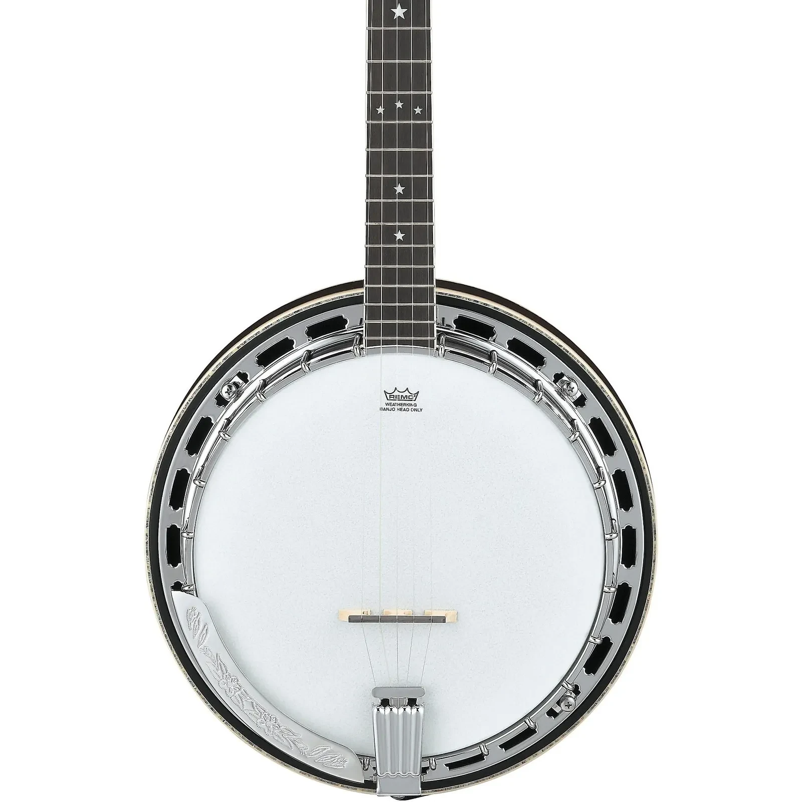 Ibanez BA250 US 250th Anniv LE Resonator Banjo, Purpleheart Fingerboard, USA 250