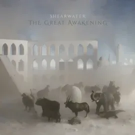 Виниловая пластинка Shearwater – The Great Awakening (Релиз 2022) Sealed