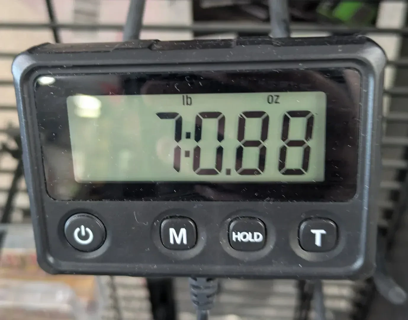 Изображение №10