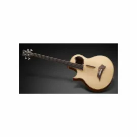 WARWICK Alien 4 Natural Transparent Satin Fretless Lefthand *B-Stock*