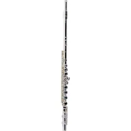 Флейта Giardinelli GFL-300 Silver-Plated