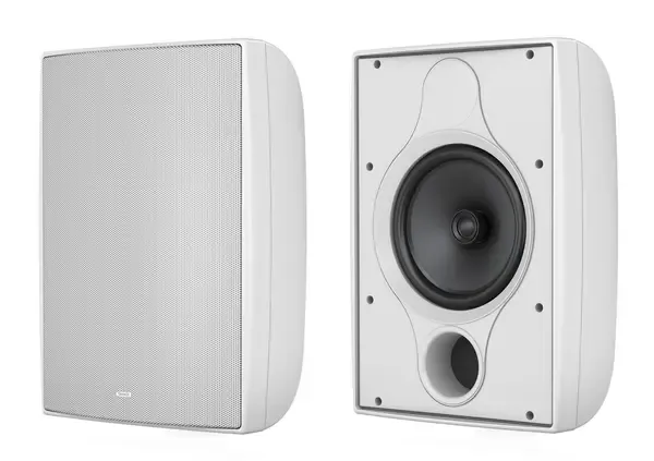 Настенная акустика TANNOY DVS 8T WH всепогодная