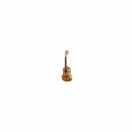 KALA Pacific Walnut Concert Ukulele with a Gigbag (UB-C)