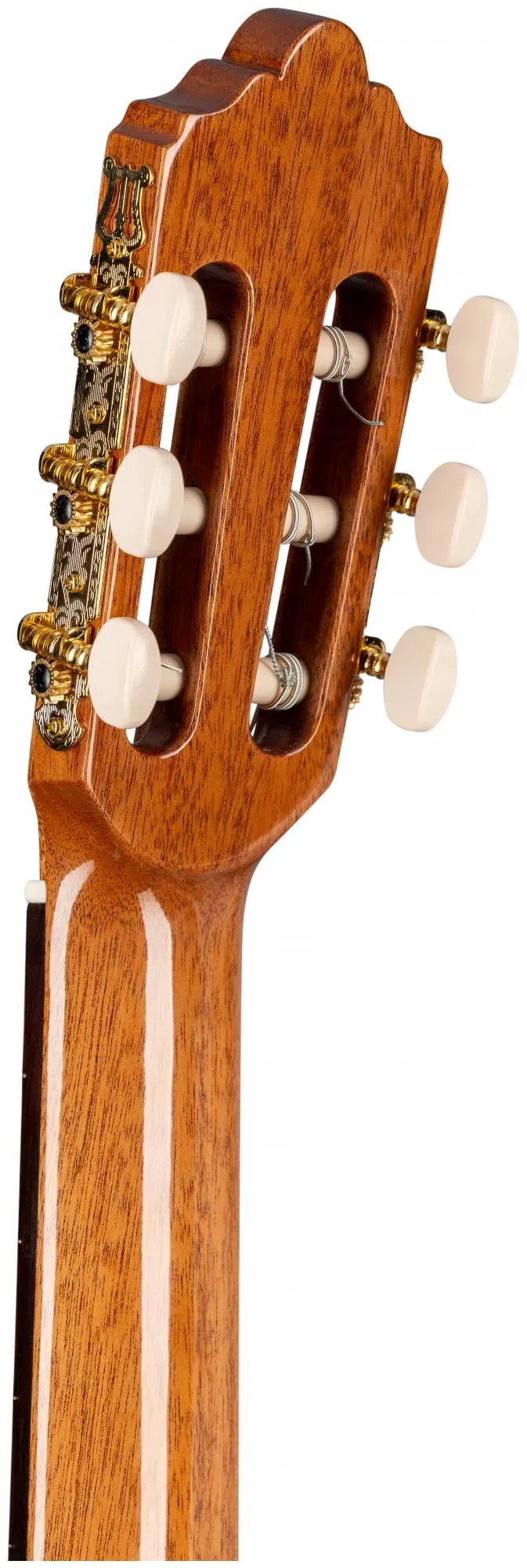 Изображение №7