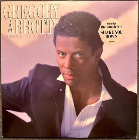 GREGORY ABBOTT - Shake You Down (LP , Used)