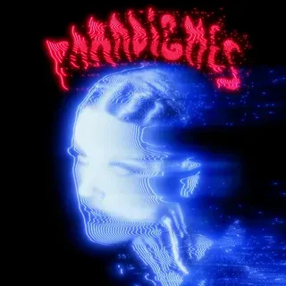 Виниловая пластинка Paradigmes - Disque Pointu, Born Bad Records