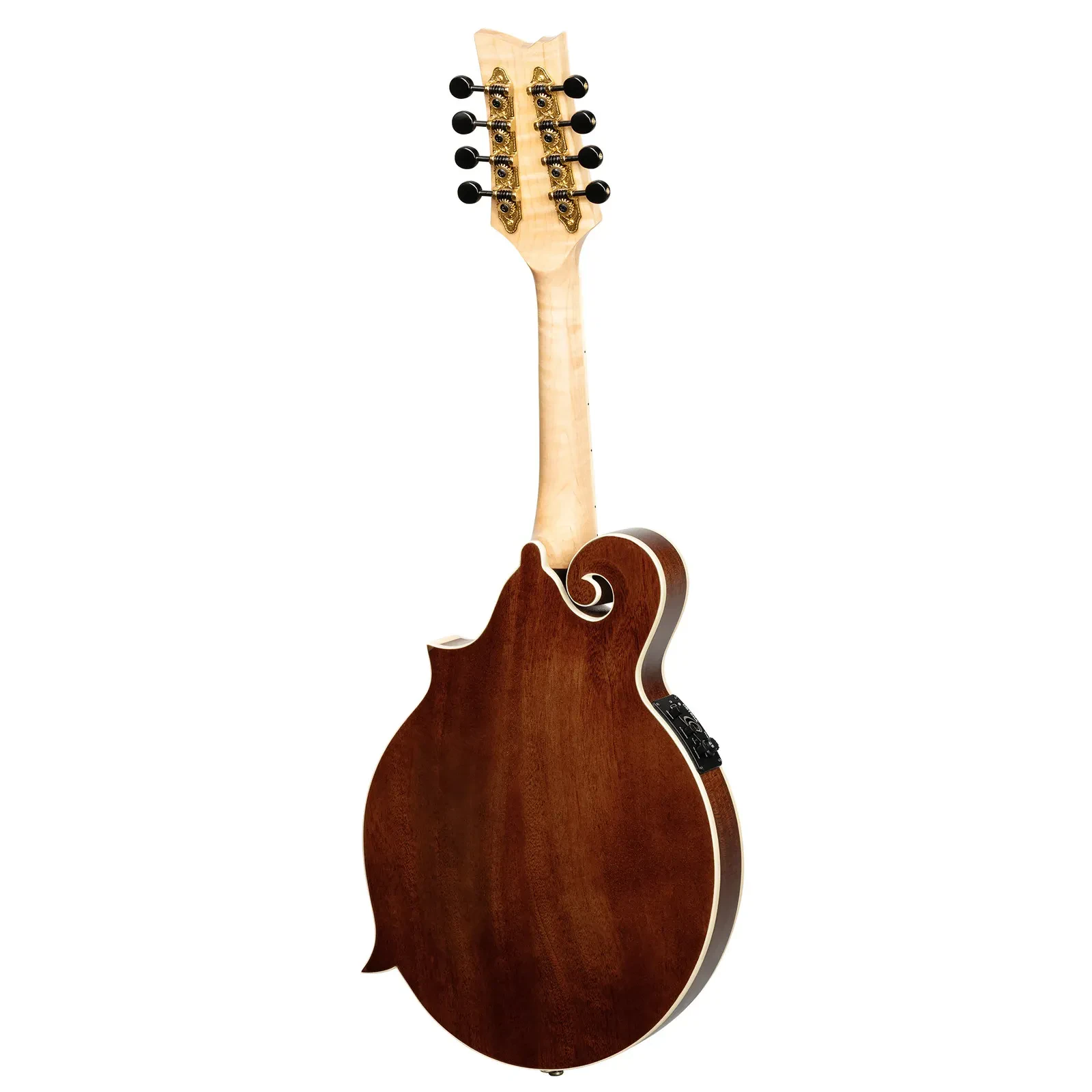 Изображение №5