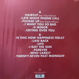 Виниловая пластинка Reverend & The Makers – Is This How Happiness Feels?