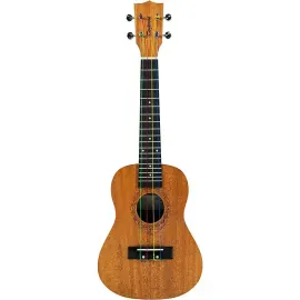 Tanglewood TANGLEWOOD UKULELE COLORED STRINGS