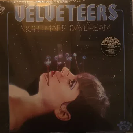 Виниловая пластинка The Velveteers – Nightmare Daydream