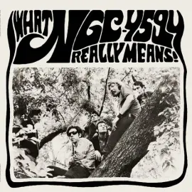 Виниловая пластинка Ngc-4594 - What NGC-4594 Really Means! [New Vinyl LP]