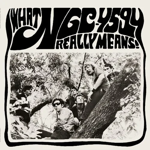 Виниловая пластинка Ngc-4594 - What NGC-4594 Really Means! [New Vinyl LP]