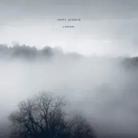 Poppy Ackroyd - Liminal NEW Vinyl