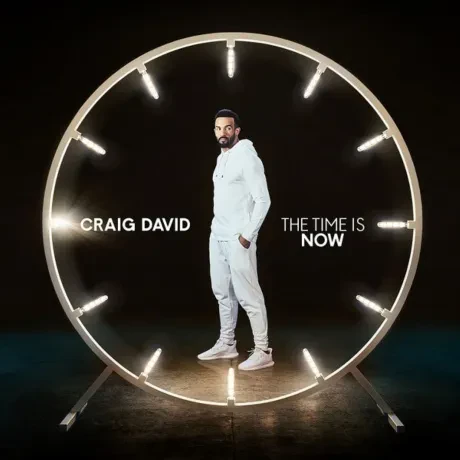 CRAIG DAVID - The Time Is Now (CD)