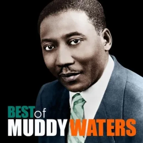 Виниловая пластинка Muddy Waters – The Best Of