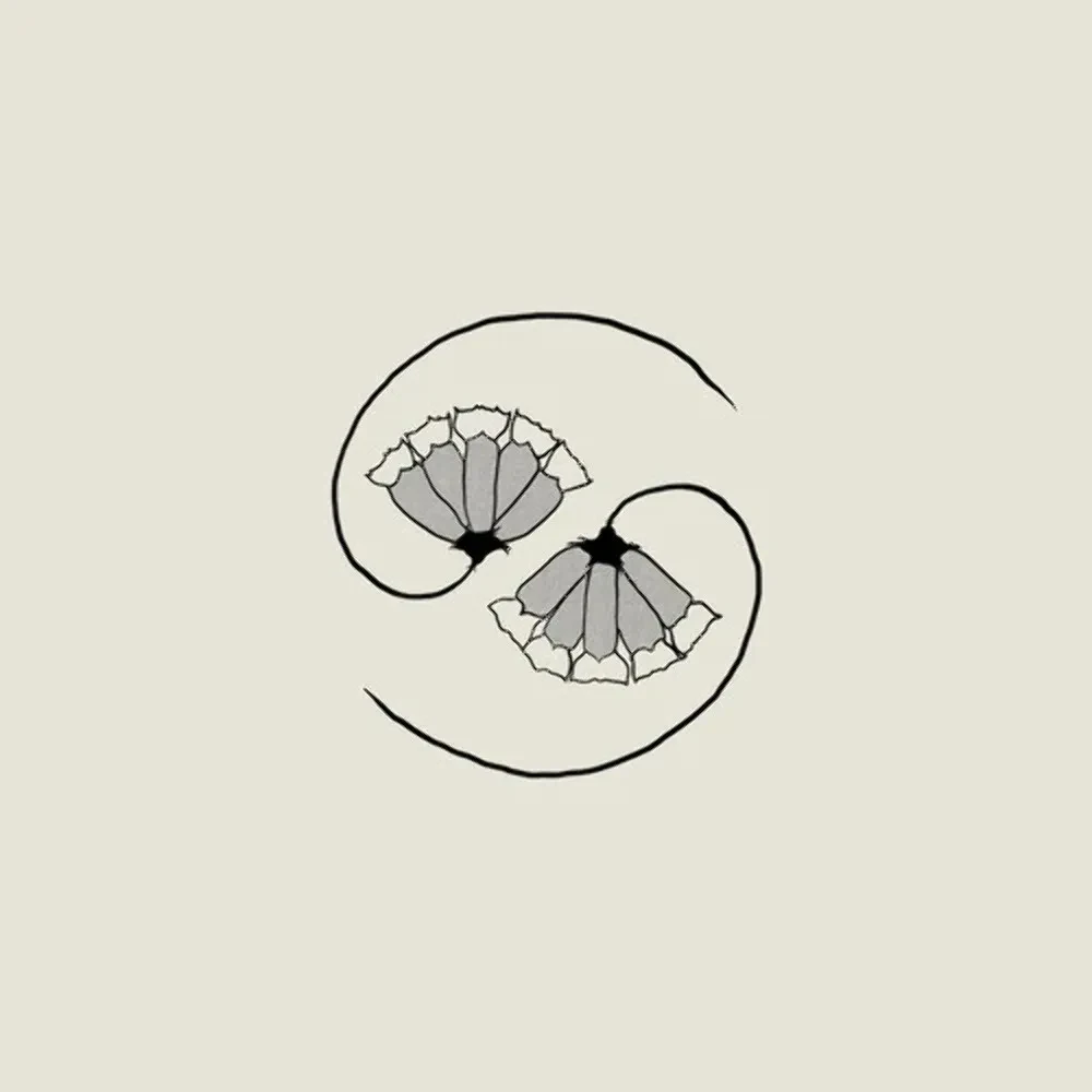 Виниловая пластинка Godspeed You! Black Emperor – G_d's Pee AT STATE'S END! 2021