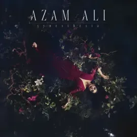 Виниловая пластинка Azam Ali - Synesthesia [New Vinyl LP]