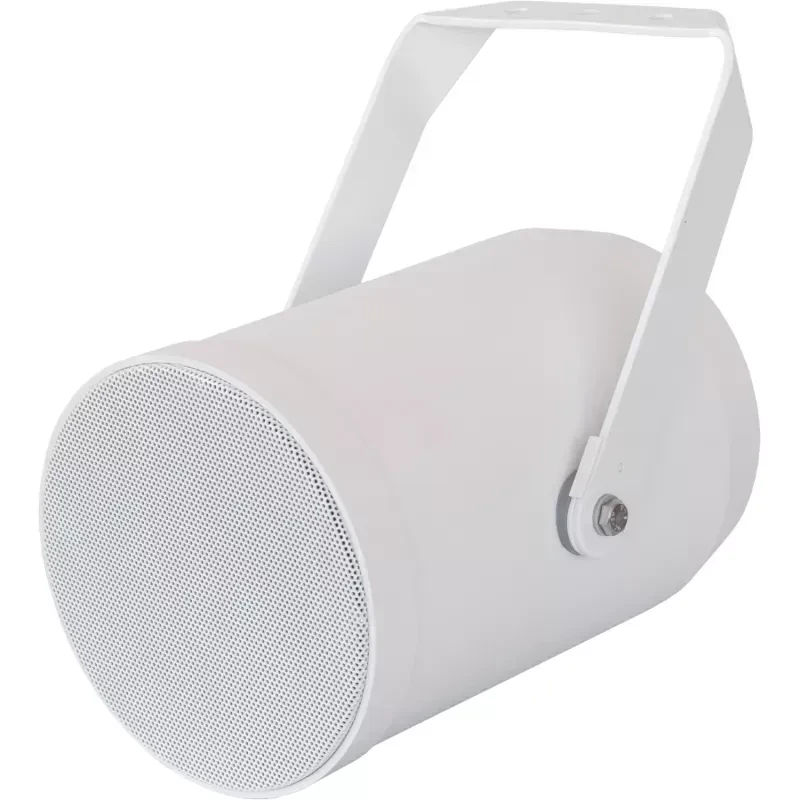 Рупорная акустика Equipson Penton CAD-20T