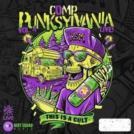 Виниловая пластинка Various Artists - Camp Punksylvania Vol. 4 Live (Various Artists) [New Vinyl LP]