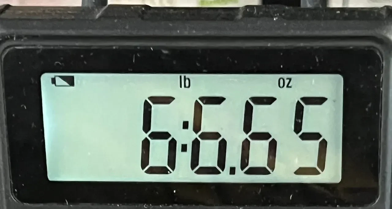 Изображение №8