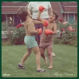 Виниловая пластинка ELBOW – Flying Dream 1
