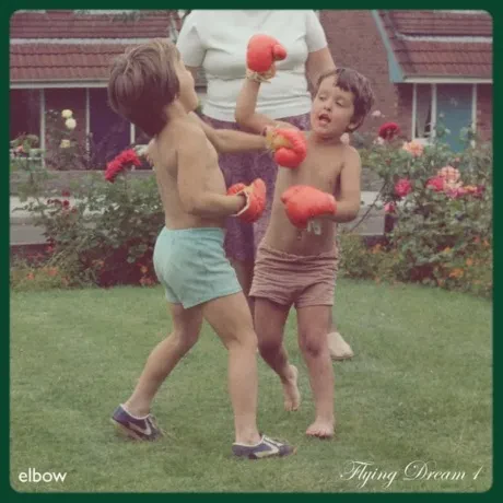 Виниловая пластинка ELBOW – Flying Dream 1