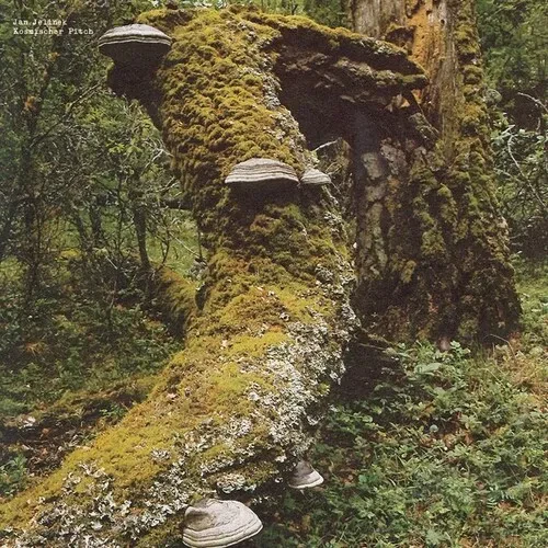 Виниловая пластинка Jan Jelinek - Kosmischer Pitch [New Vinyl LP]