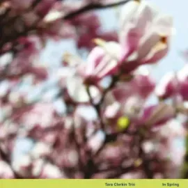 Виниловая пластинка Tara Clerkin – In Spring 2024
