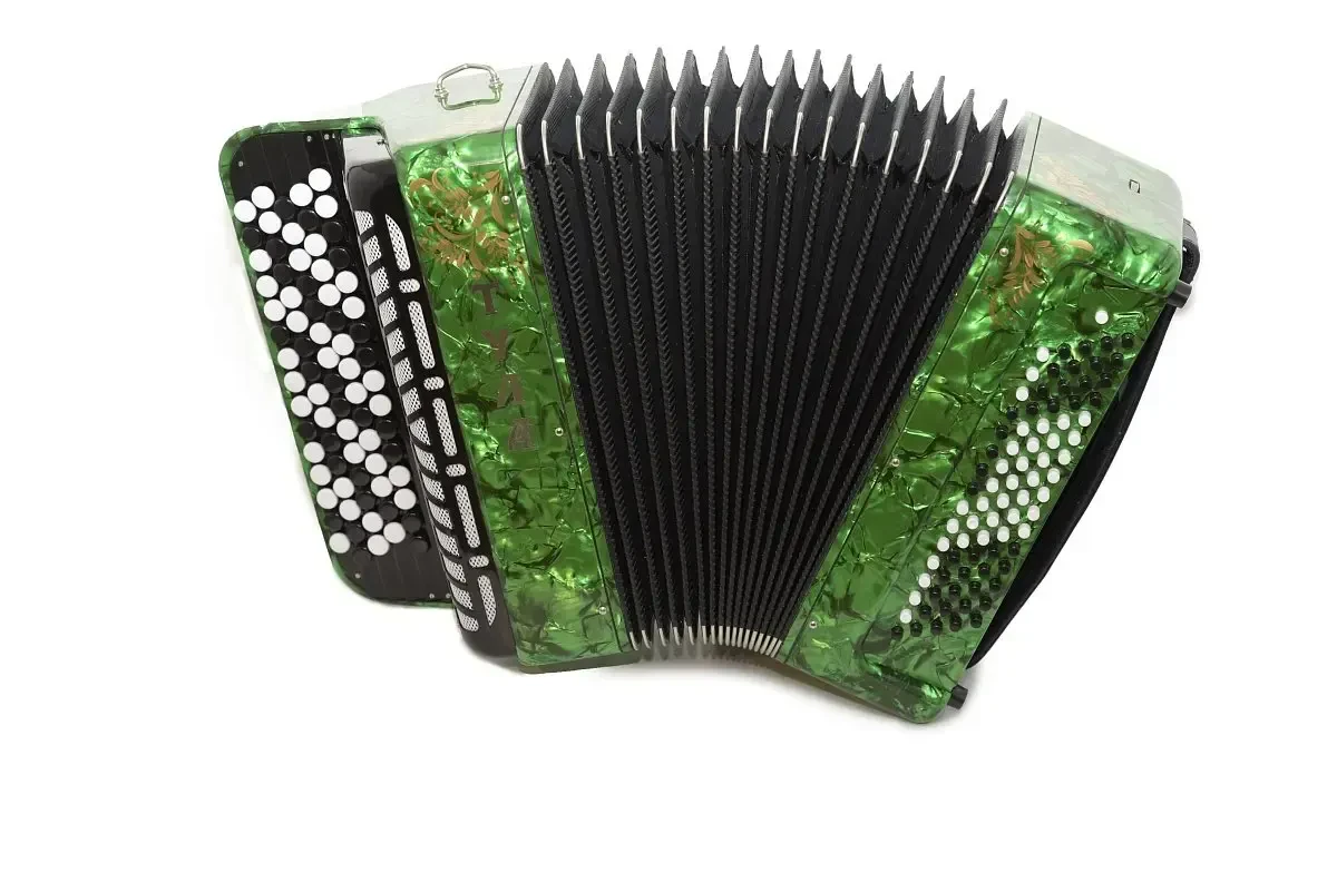 Баян Тульская гармонь "Тула-209" BN-37-GR ученический двухголосный