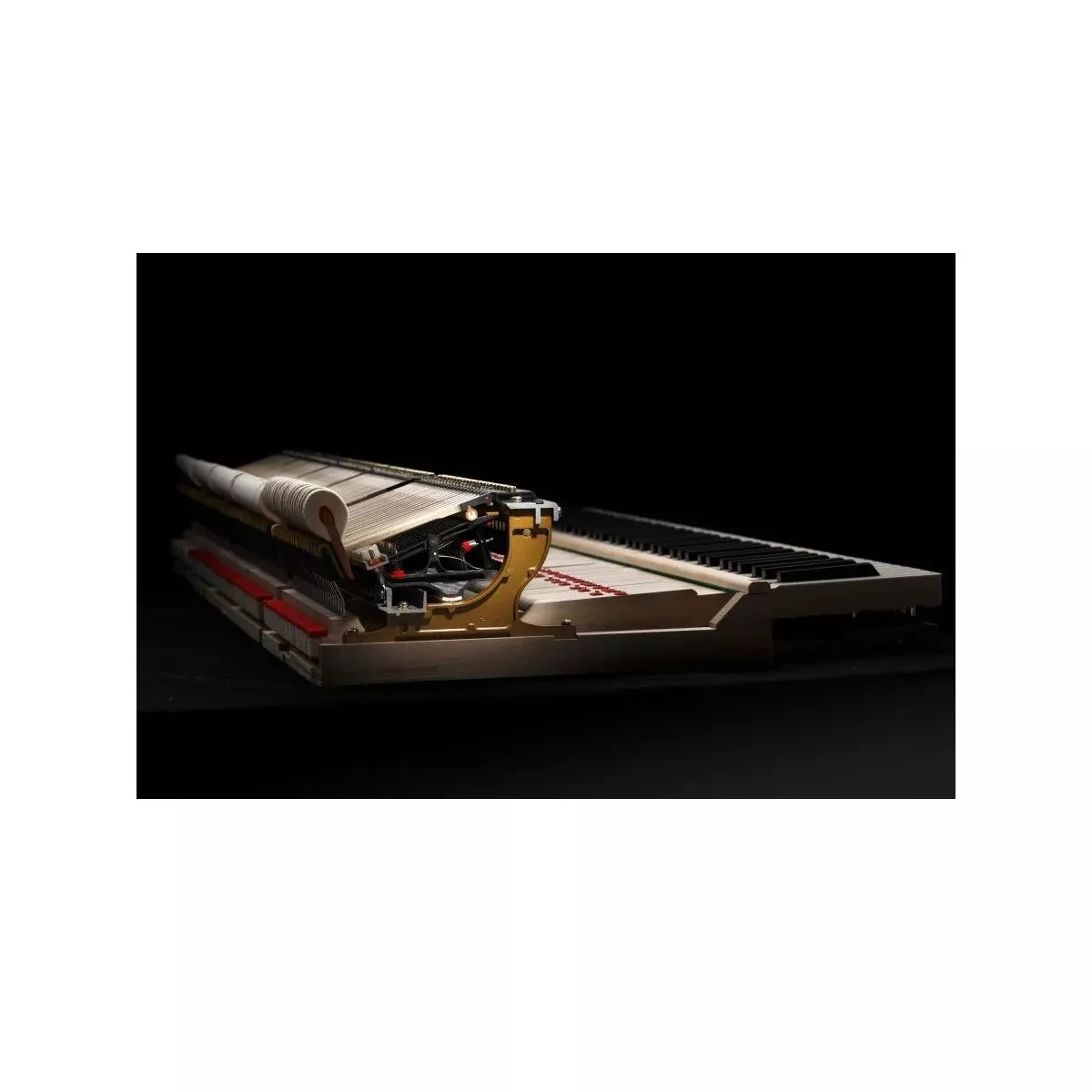 Изображение №6