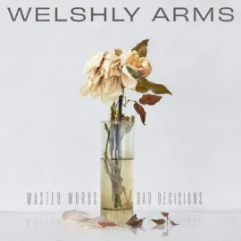 Виниловая пластинка Welshly Arms – Wasted Words & Bad Decisions (Релиз 2023) Sealed