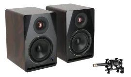 Se Electronics RN17 Recording Studio Microphone w/Changeable Capsule+Monitors