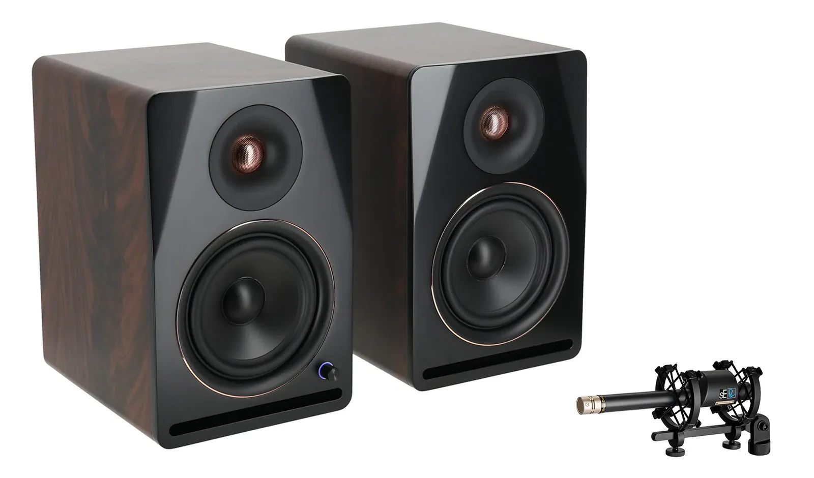 Se Electronics RN17 Recording Studio Microphone w/Changeable Capsule+Monitors