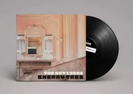 Виниловая пластинка The National – Cherry Tree 2021 Sealed