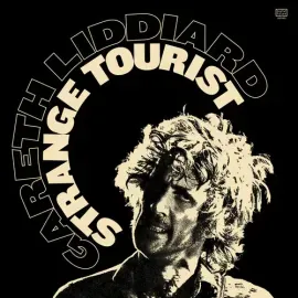 Виниловая пластинка Gareth Liddiard - Strange Tourist [New Vinyl LP]