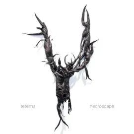 Виниловая пластинка Tetema – Necroscape Sealed