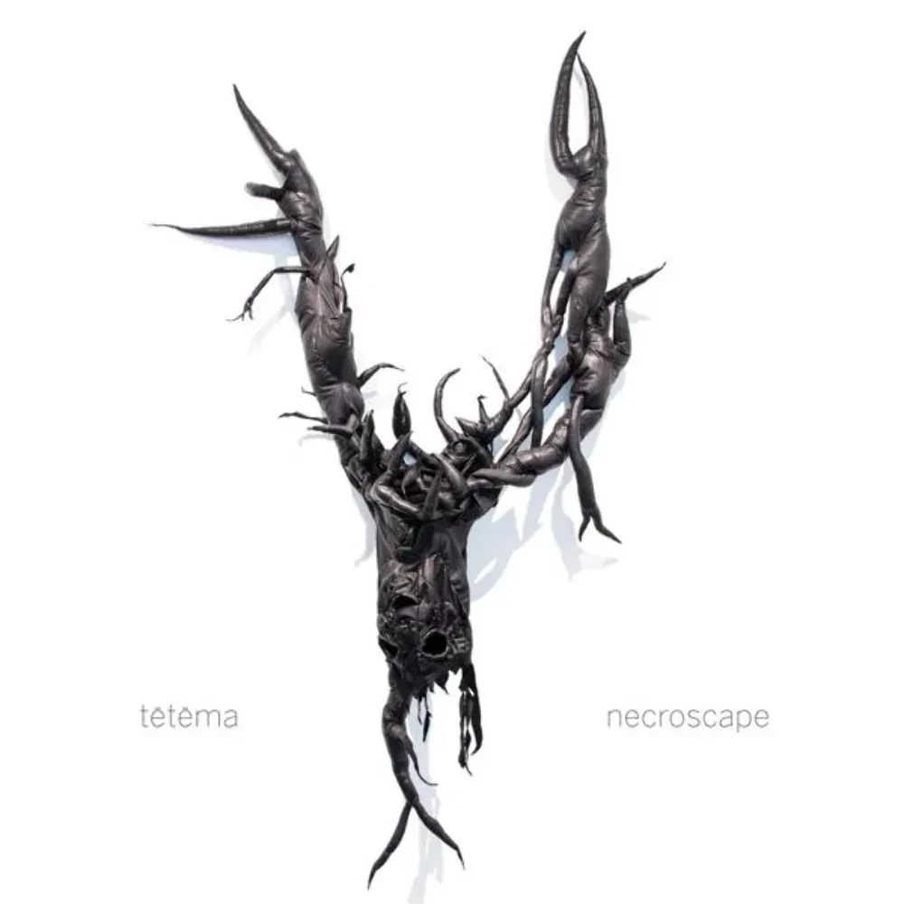 Виниловая пластинка Tetema – Necroscape Sealed