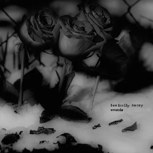 Виниловая пластинка Basically Nancy - Wounds [New Vinyl LP]