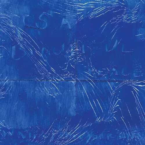 Виниловая пластинка Water From Your Eyes - It's A Beautiful Place [New Vinyl LP]