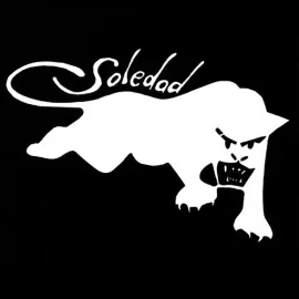 Виниловая пластинка Soledad Brothers - Sugar & Spice / Johnny's Death [New 7" Vinyl]