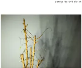 Виниловая пластинка Dorota Barova – Dotyk 2022