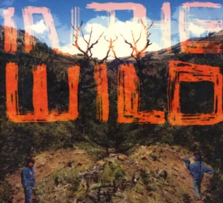 FALTYDL - In The Wild (CD)