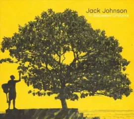 Jack Johnson - In Between Dreams NEW Sealed Vinyl LP Album