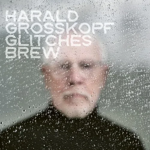 Виниловая пластинка Harald Grosskopf - Glitches Brew [New Vinyl LP]