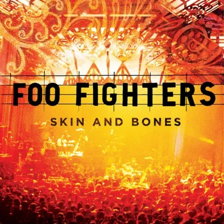 Виниловая пластинка Foo Fighters – Skin And Bones